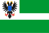 Флаг Черниговской области (для использования за границей).png
